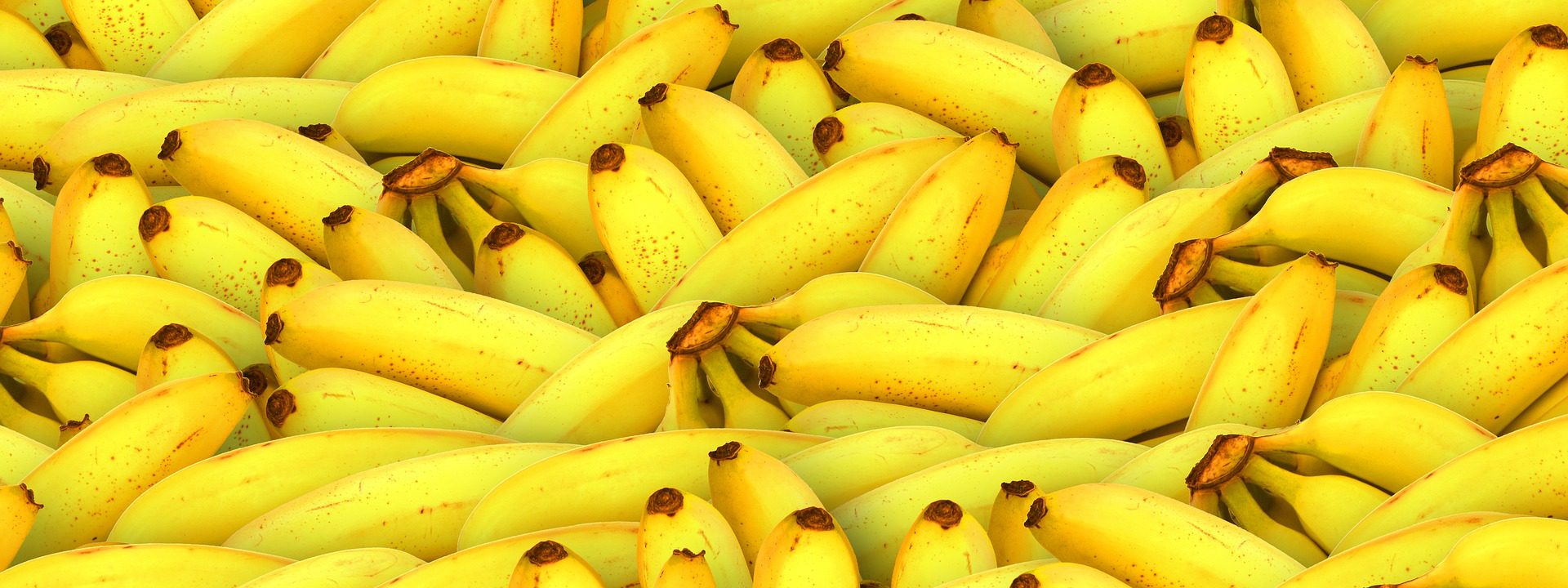 File very_bananas.jpg, with an approximate size of 214 KB